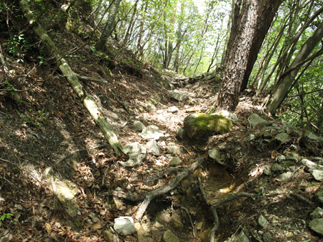 20140502hike (38)